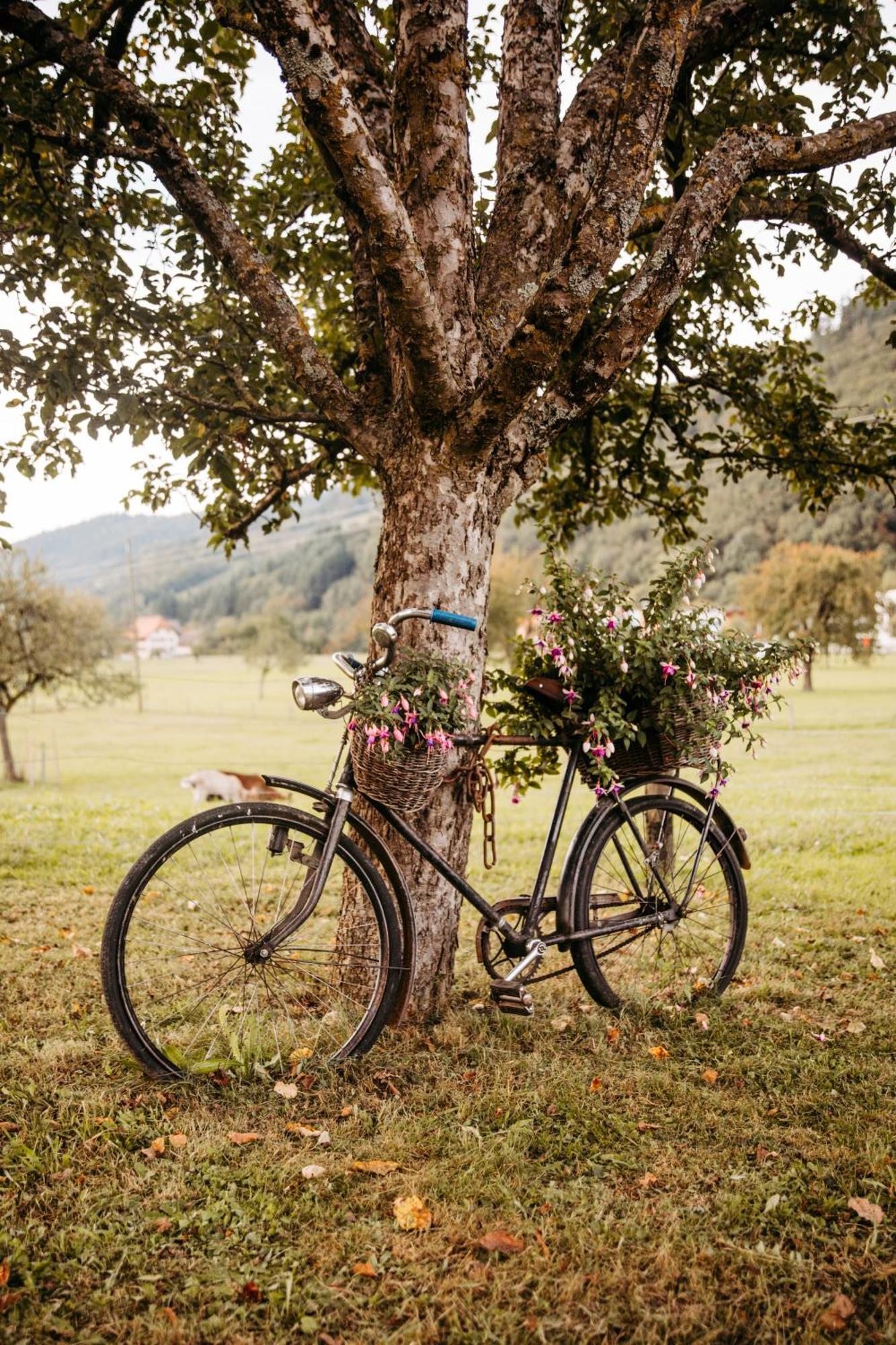 Schiebenrothenhof Hotel ซีมอนส์วัลด์ ภายนอก รูปภาพ